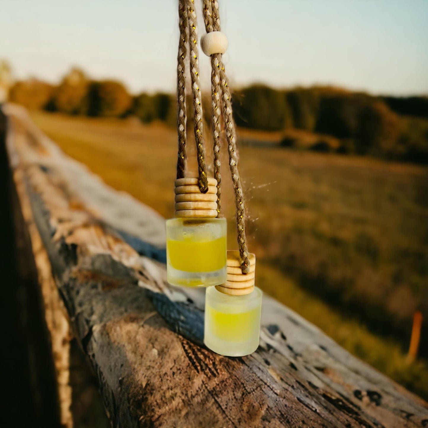 Hanging Car Diffusers