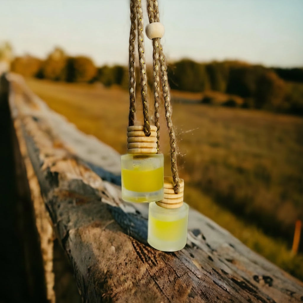 Hanging Car Diffusers